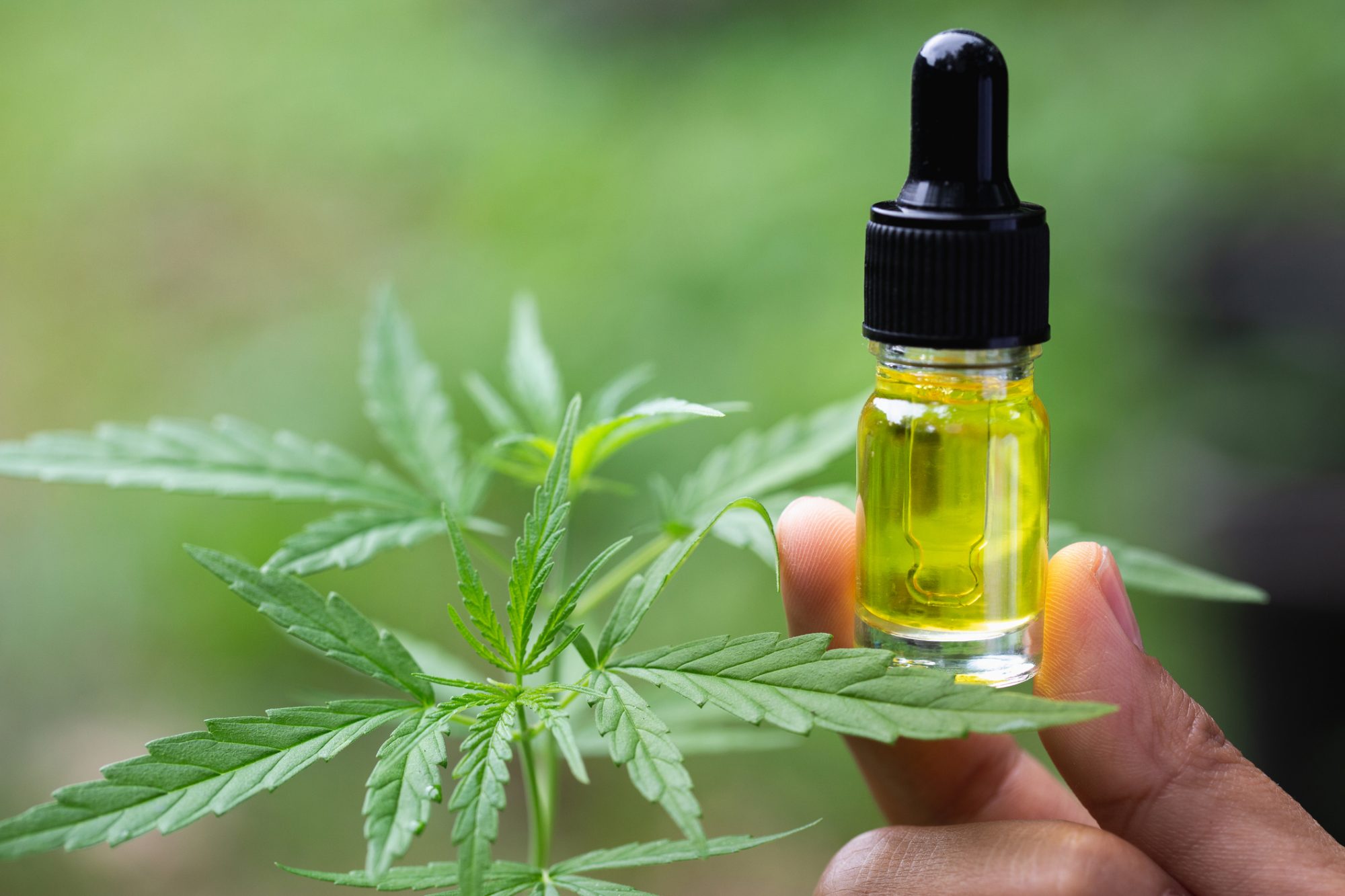 Elevate Your Health: Embrace Cold Pressed CBD Oil Today